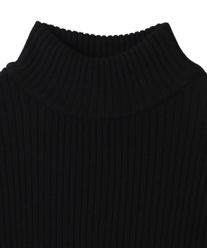 リブハイネックショートニット