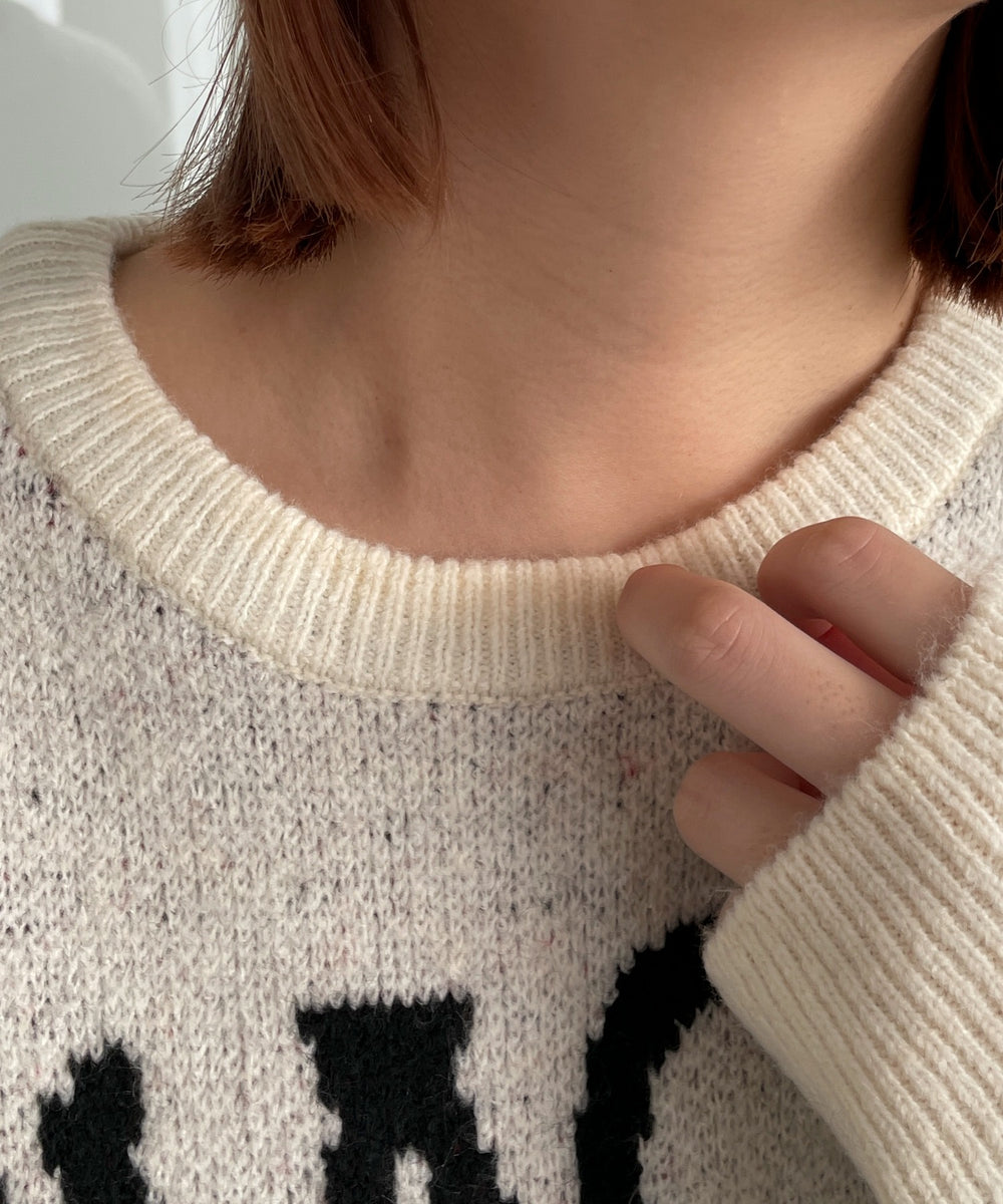 ファニーグラフィックフラッフィーニットプルオーバー