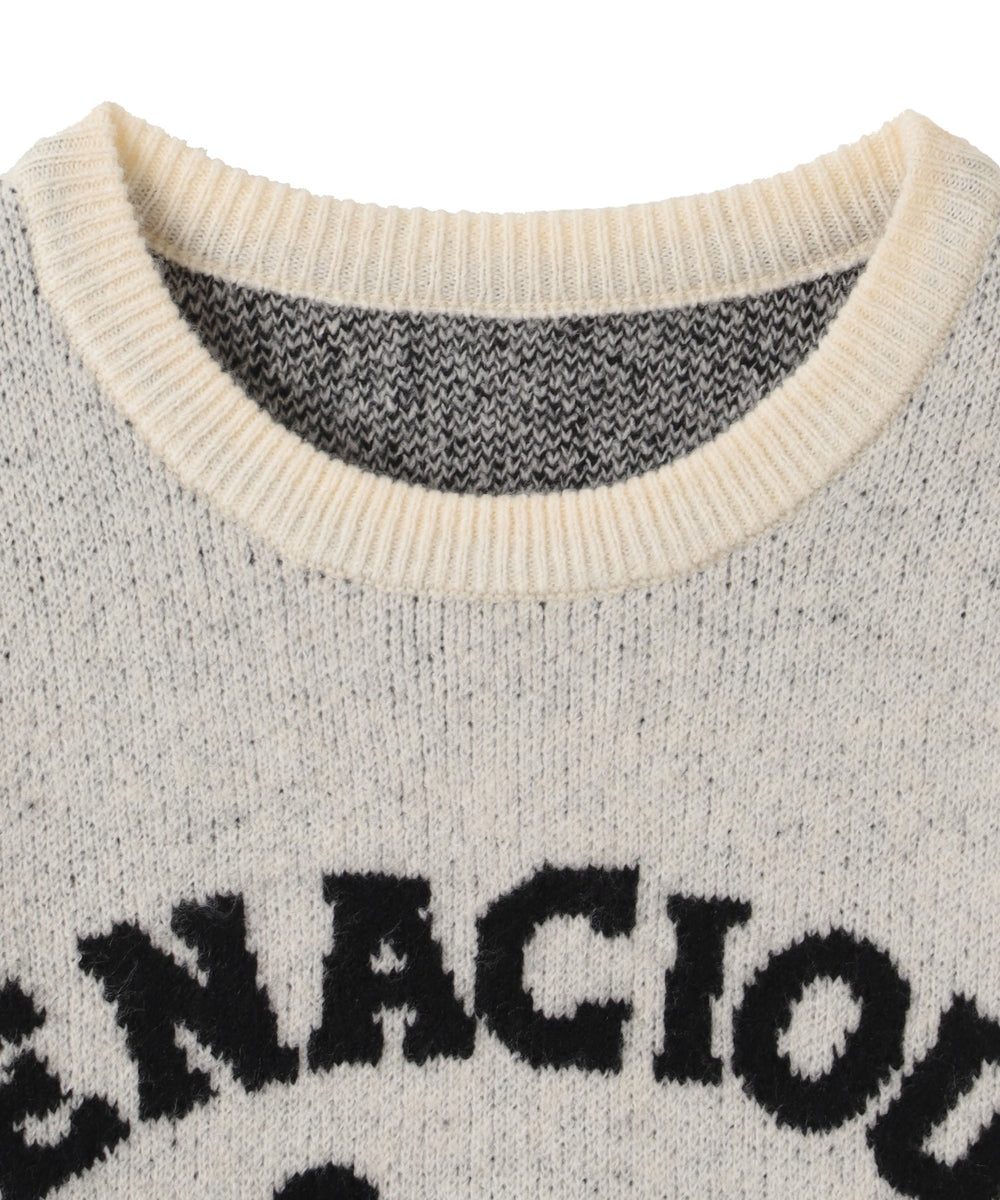 ファニーグラフィックフラッフィーニットプルオーバー