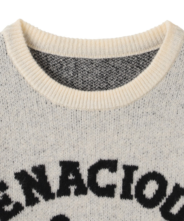 ファニーグラフィックフラッフィーニットプルオーバー