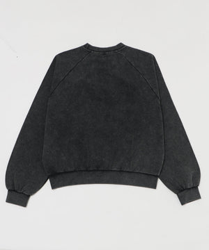 裏起毛ショートグラフィックプルオーバー