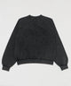 裏起毛ショートグラフィックプルオーバー