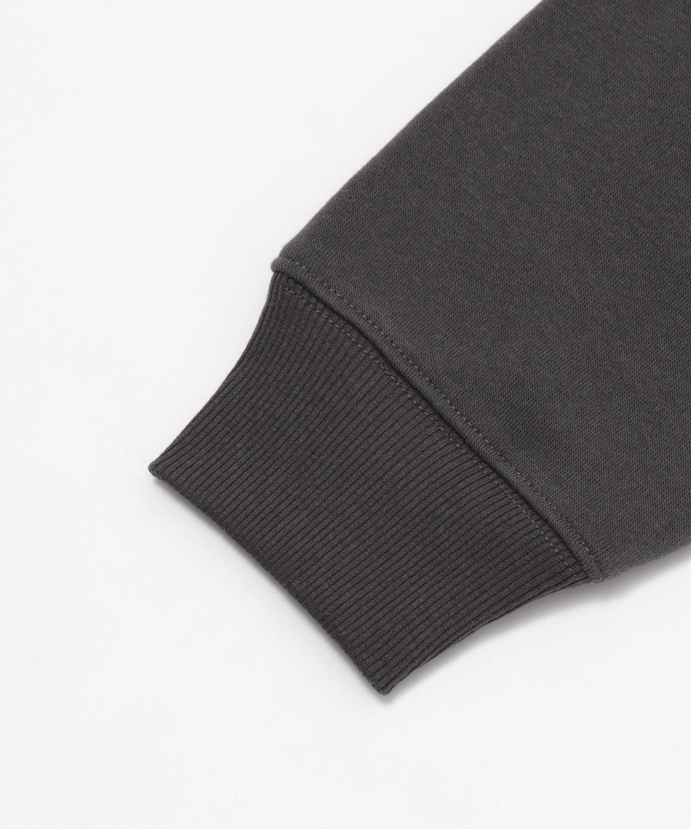 LOONEYTUNESグラフィックプルパーカー