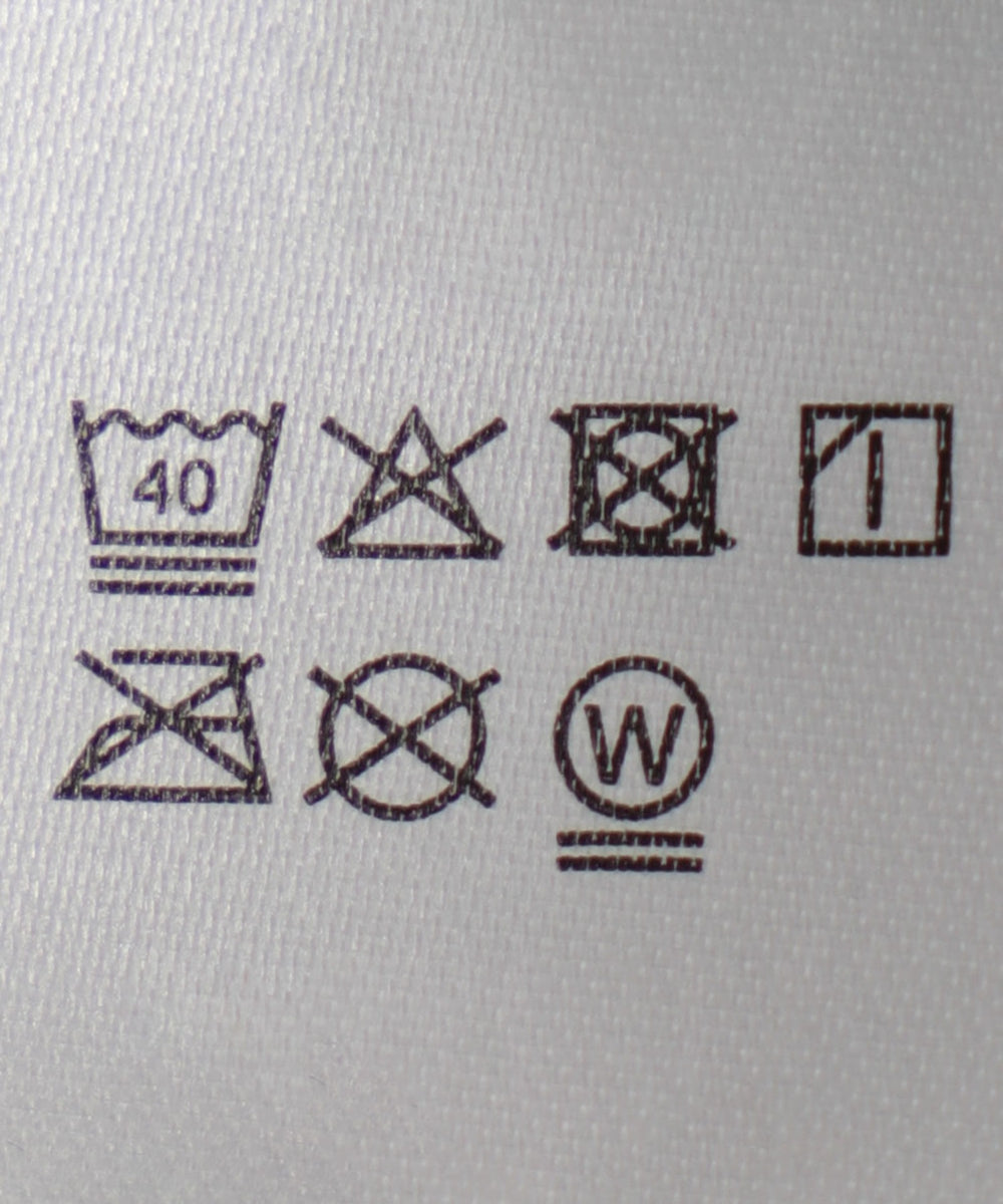 カレッジロゴラガースウェット