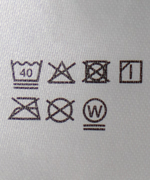 カレッジロゴラガースウェット