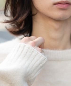 ファジーグラフィックプルオーバー