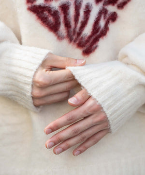 ファジーグラフィックプルオーバー