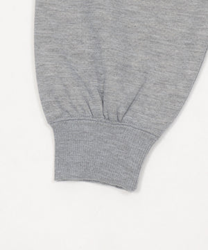 カレッジロゴボアパーカー