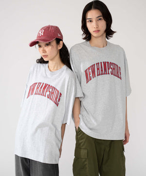 柄12　アッシュグレー