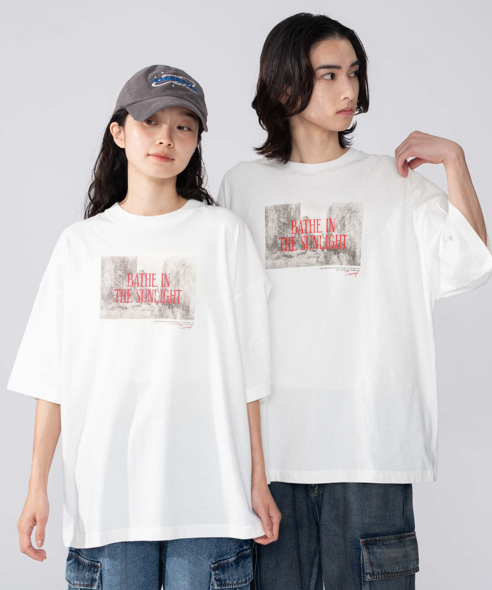 柄33　ホワイト