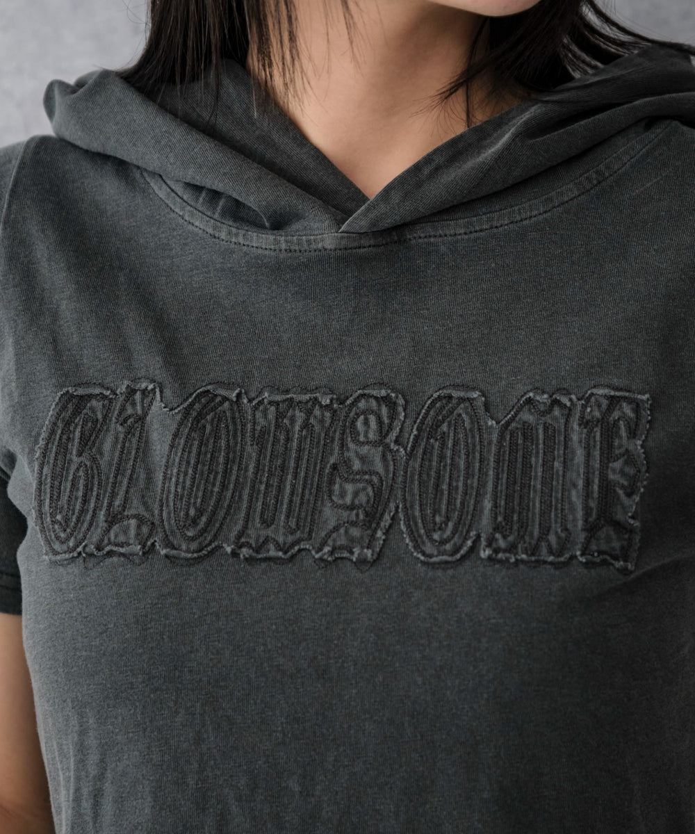 ピグメントフードちびT