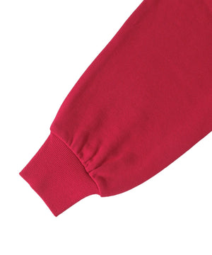 カレッジロゴビッグジップパーカー