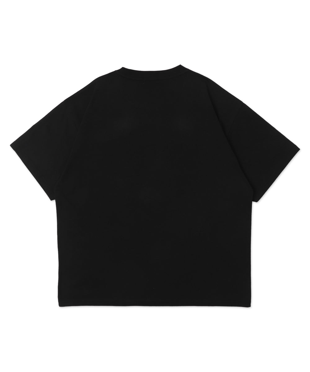 グラフィックアンサンブルT（LS）