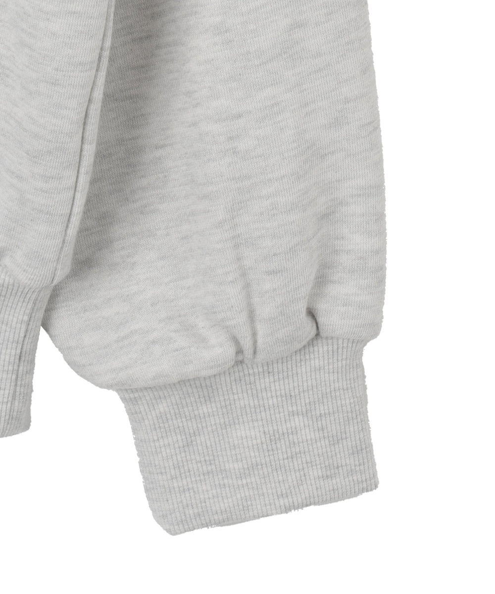 ロゴビッグプルパーカー