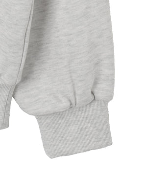 ロゴビッグプルパーカー