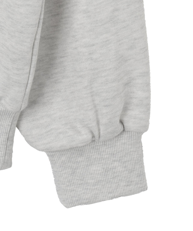 ロゴビッグプルパーカー