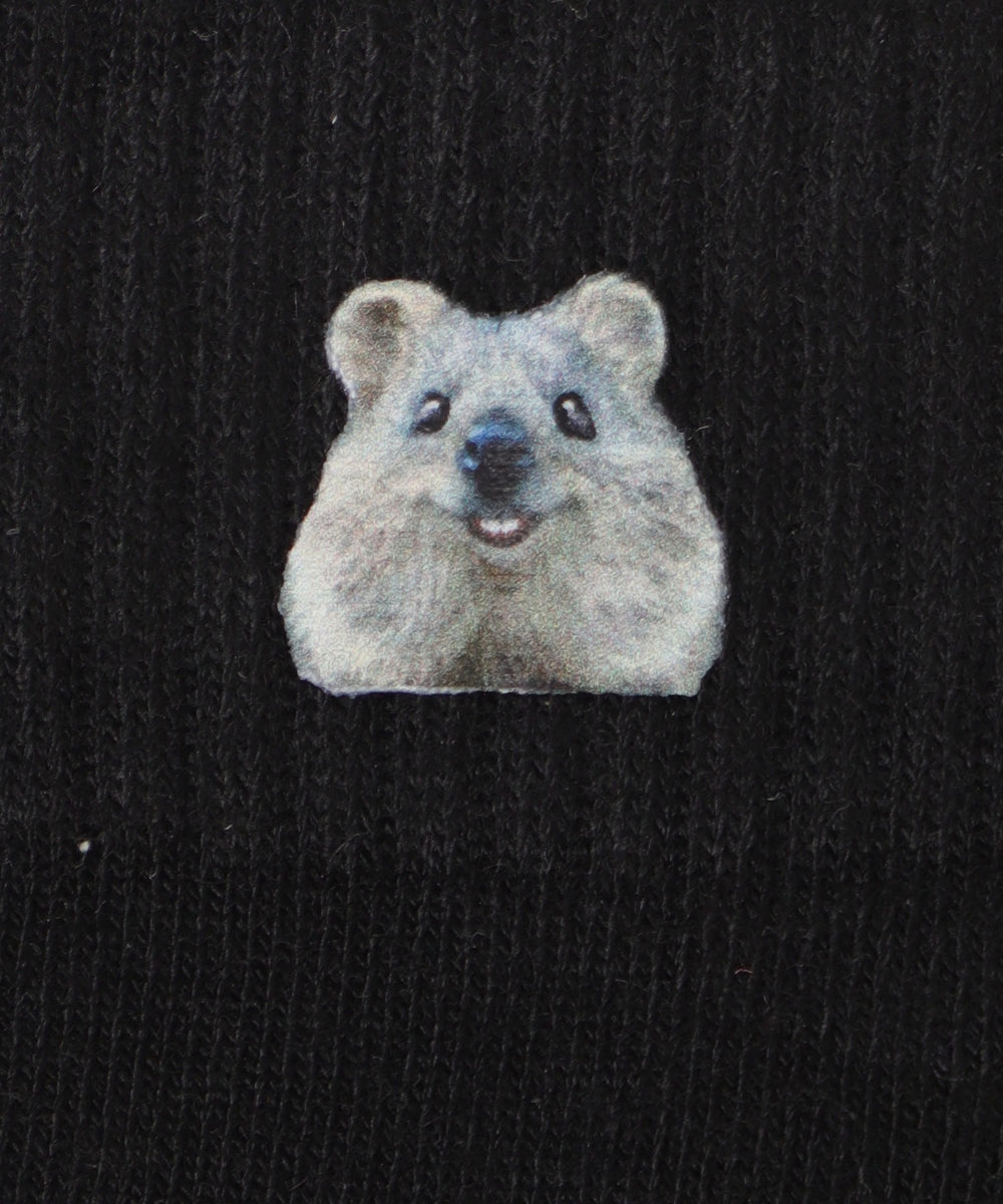 アニマルプリントショートソックス(23-25cm)