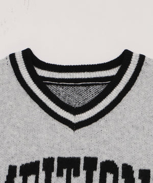 フラッフィーVネックニットBIGプルオーバー