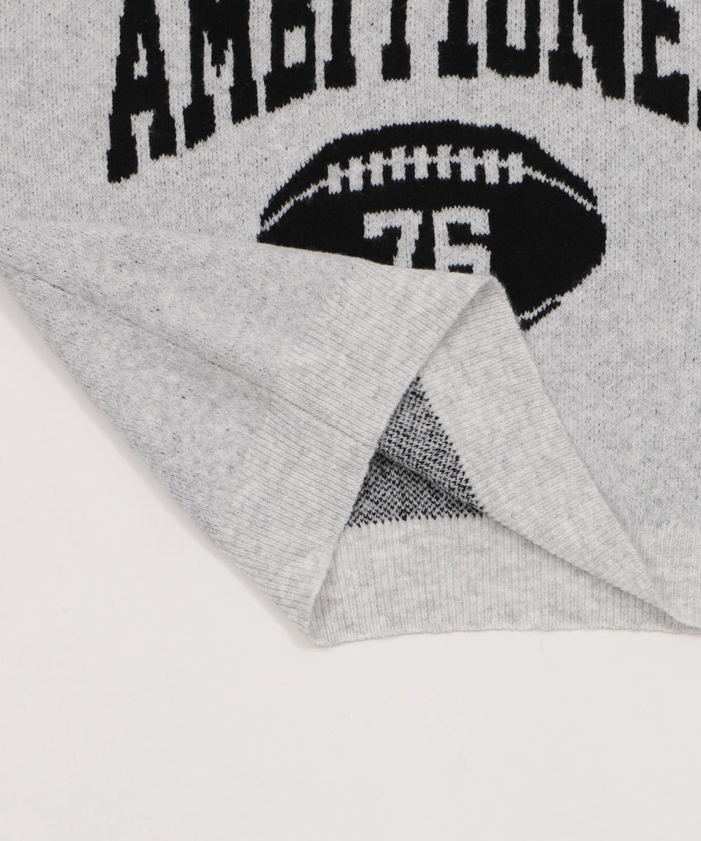 フラッフィーVネックニットBIGプルオーバー