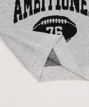 フラッフィーVネックニットBIGプルオーバー