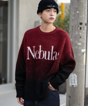 ワイン モデル：175cm L着用