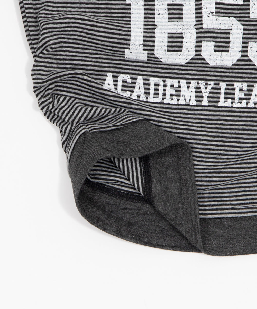 グラフィックレイヤードドッキングT