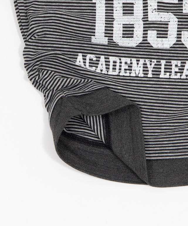 グラフィックレイヤードドッキングT