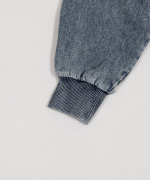 カレッジロゴBIGZIPパーカー