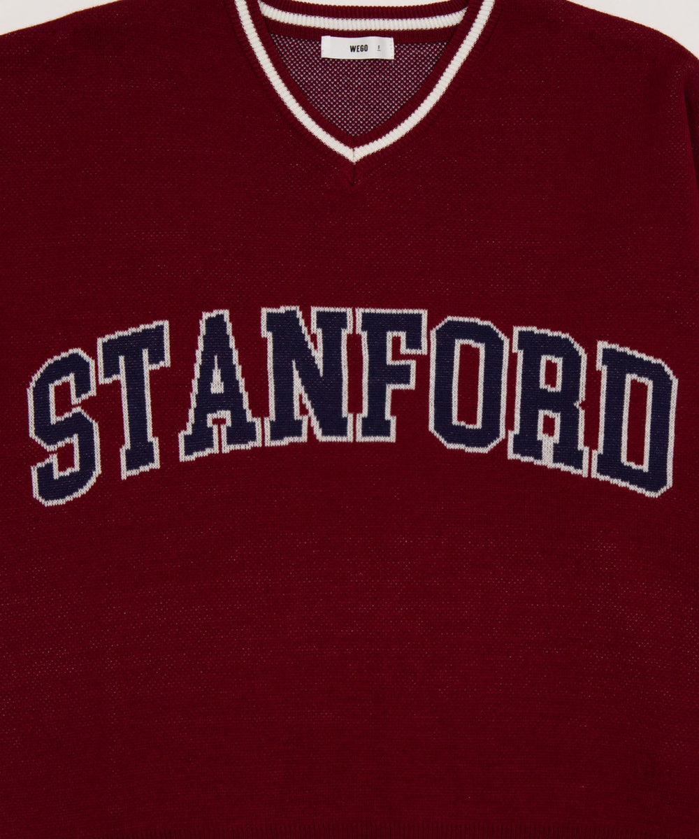 VネックグラフィックニットBIGプルオーバー