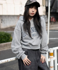 グレーソノタ / F