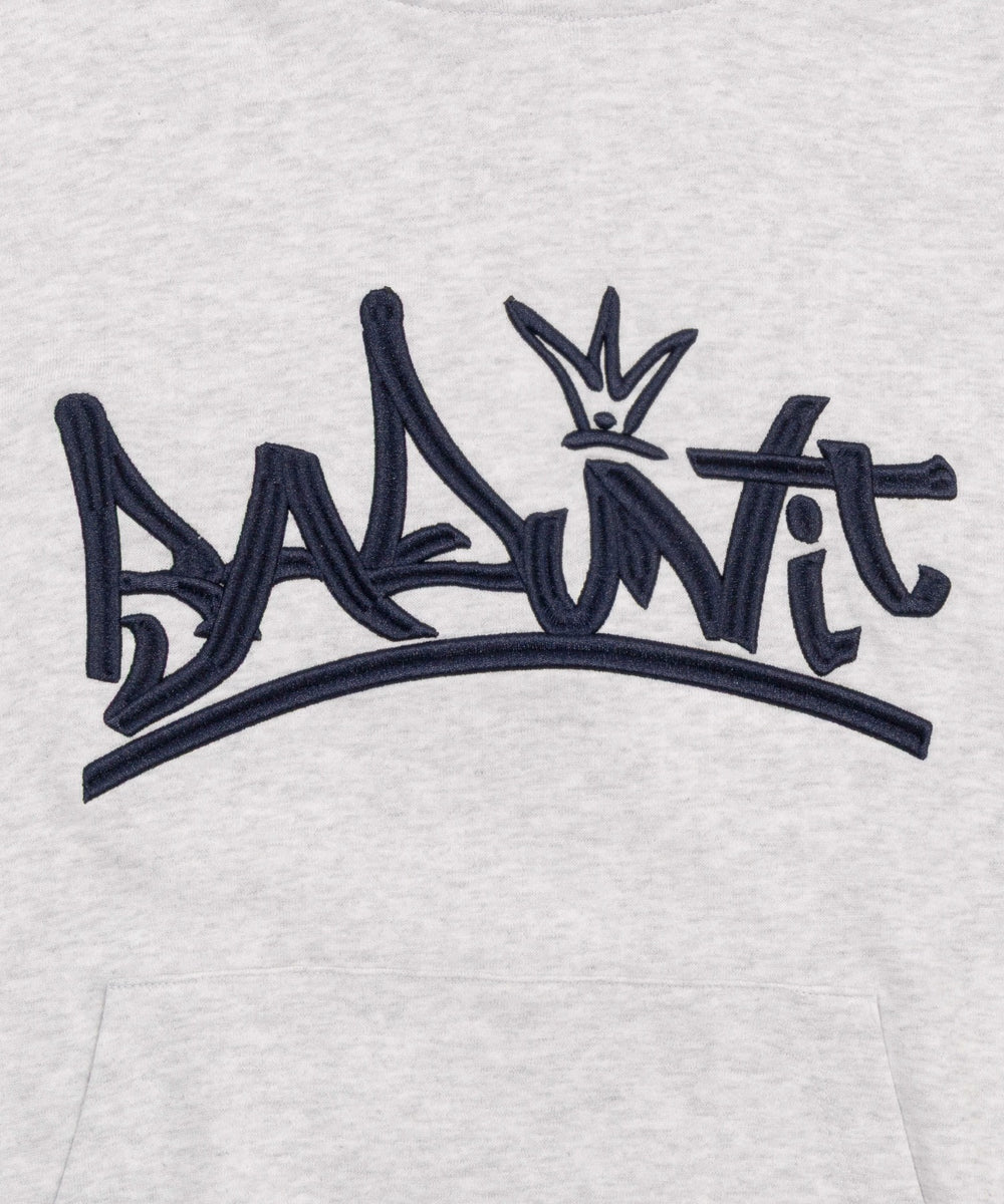 グラフィックロゴプルパーカー