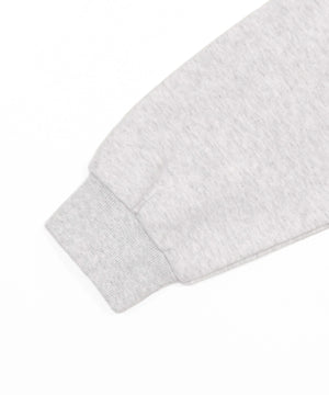 グラフィックロゴプルパーカー