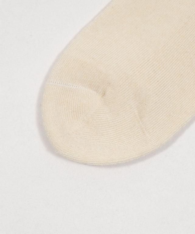 DELIGHTロゴラインソックス(23-25cm)