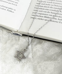 柄11　ビジュースター / F