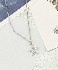 柄25　ビジュースター / F