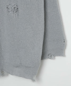 ぼろりんちょマリン