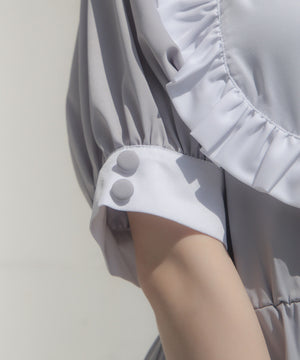 ドリームふらわーわんぴっぴ