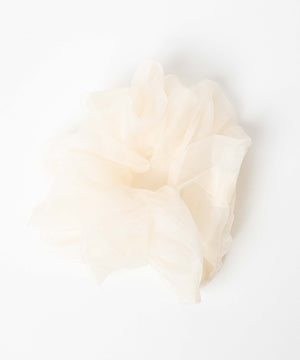 スケBIGシュシュ