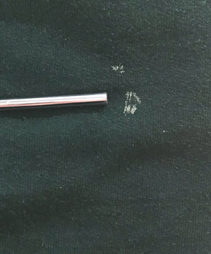 Champion WAYNE STATE カレッジスウェット