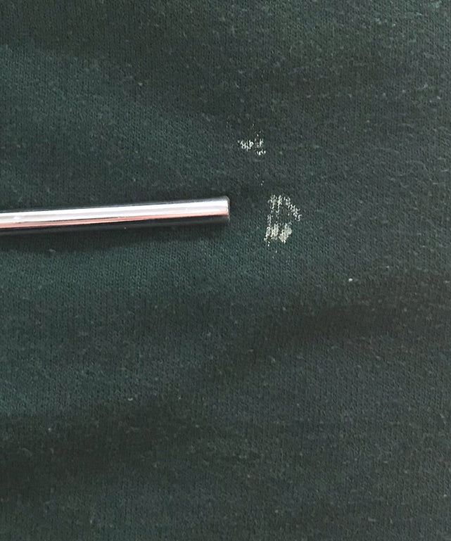 Champion WAYNE STATE カレッジスウェット