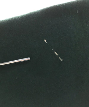 Champion WAYNE STATE カレッジスウェット