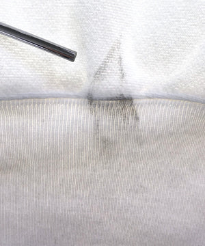 チャンピオンリバース