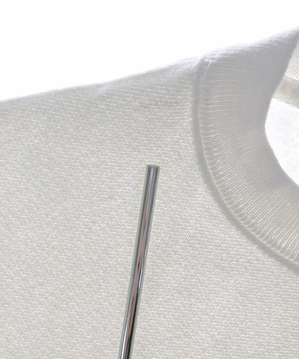 チャンピオンリバース