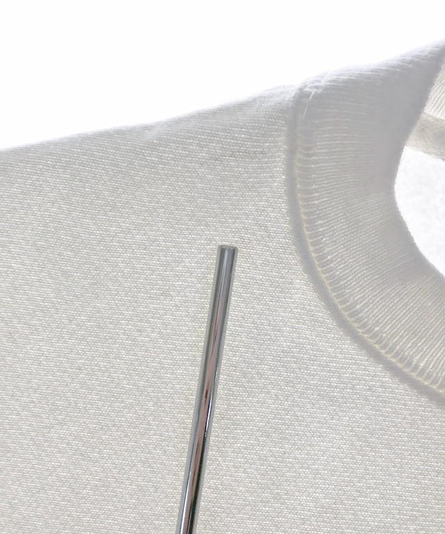 チャンピオンリバース