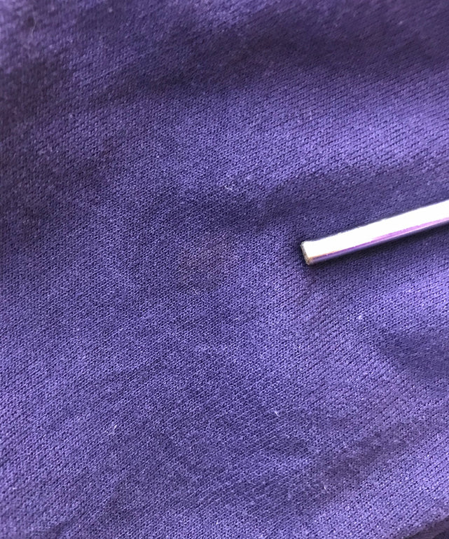 チャンピオンスウェット パーカー SFSU カレッジ