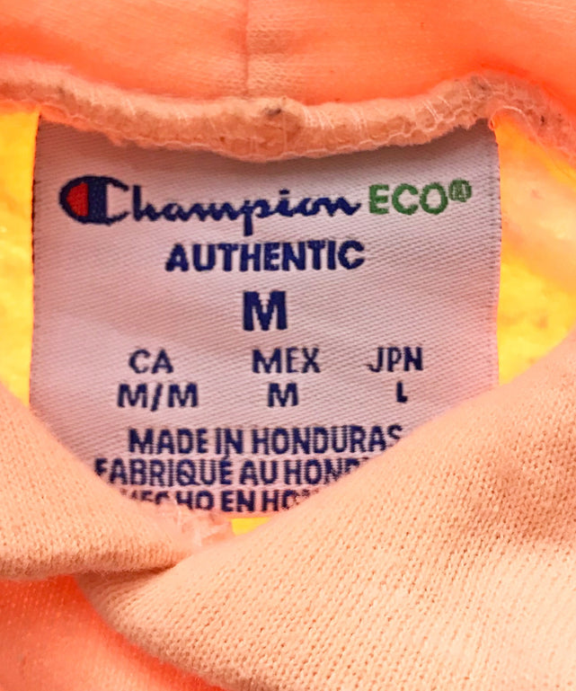 チャンピオンスウェット パーカー TERRAPINS