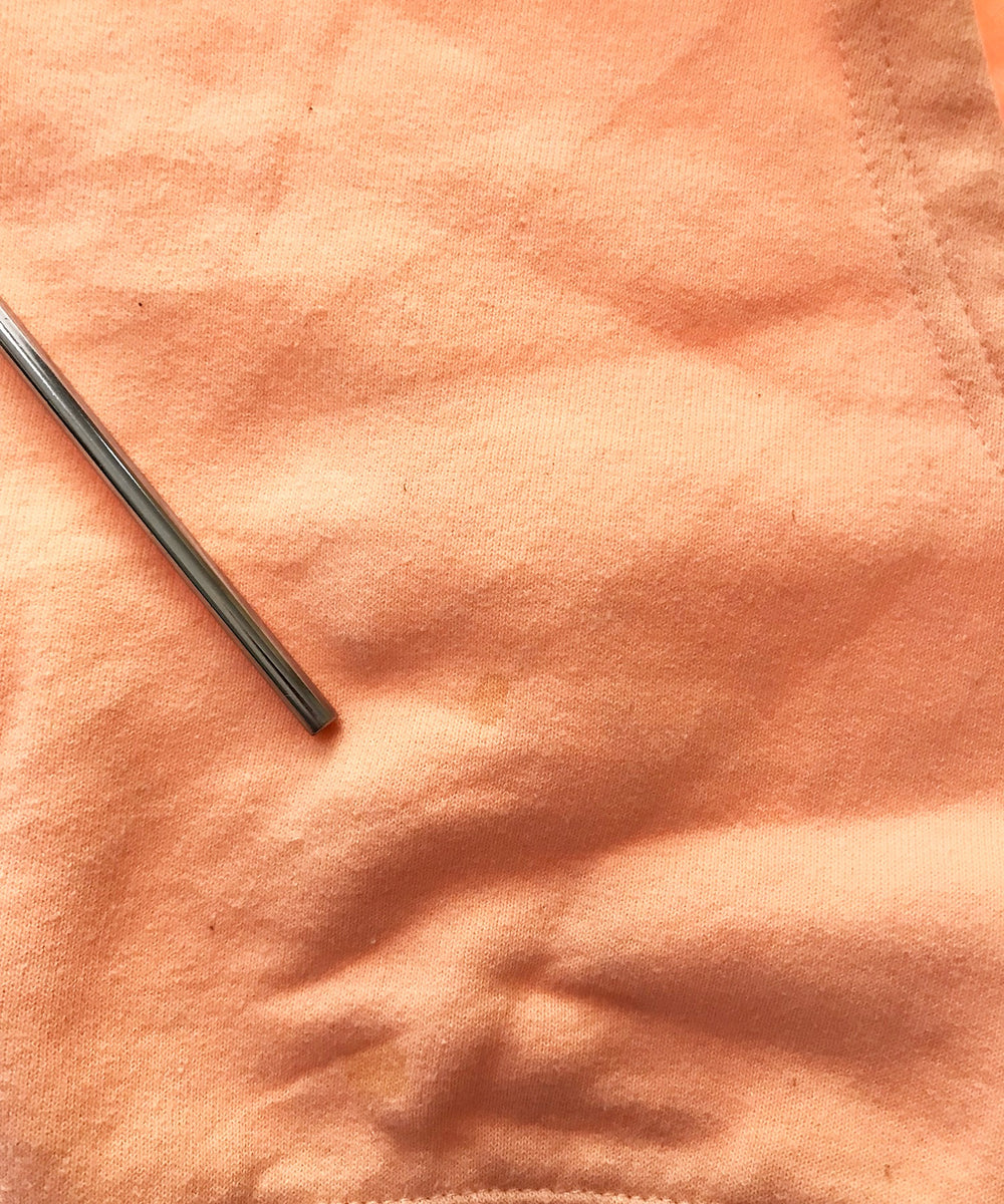 チャンピオンスウェット パーカー TERRAPINS