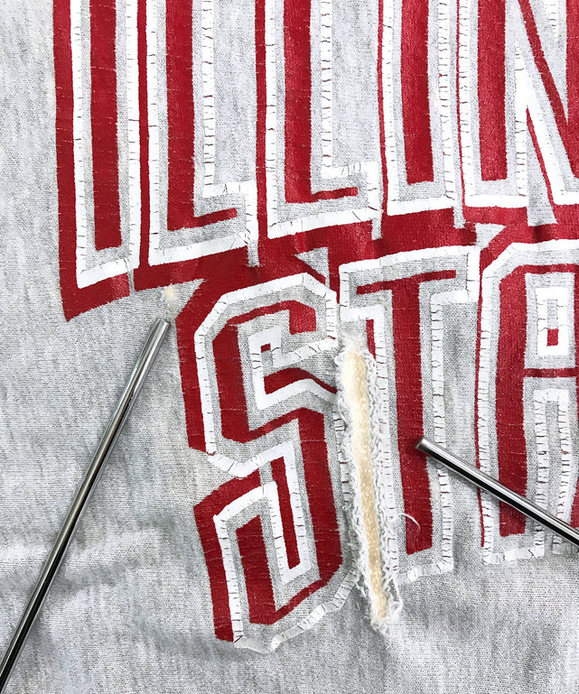 Champion リバース ILLINOIS STATE