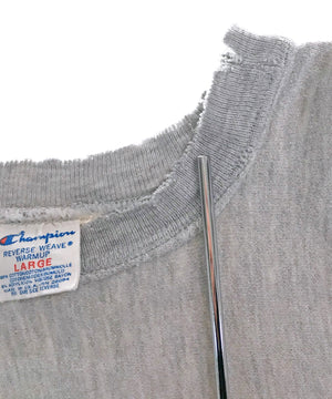 Champion リバース ILLINOIS STATE