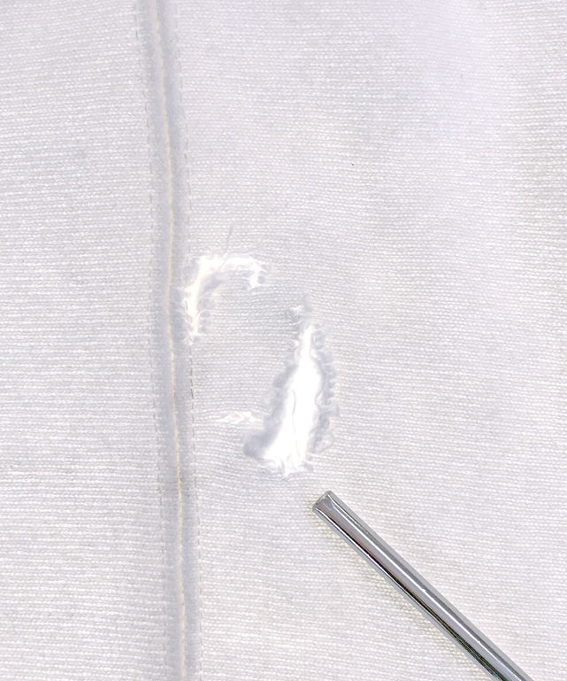 Champion リバース